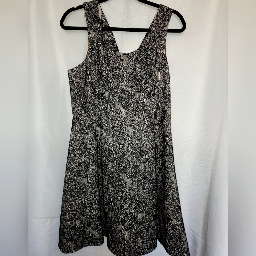 Express A-line lace inlaid dress